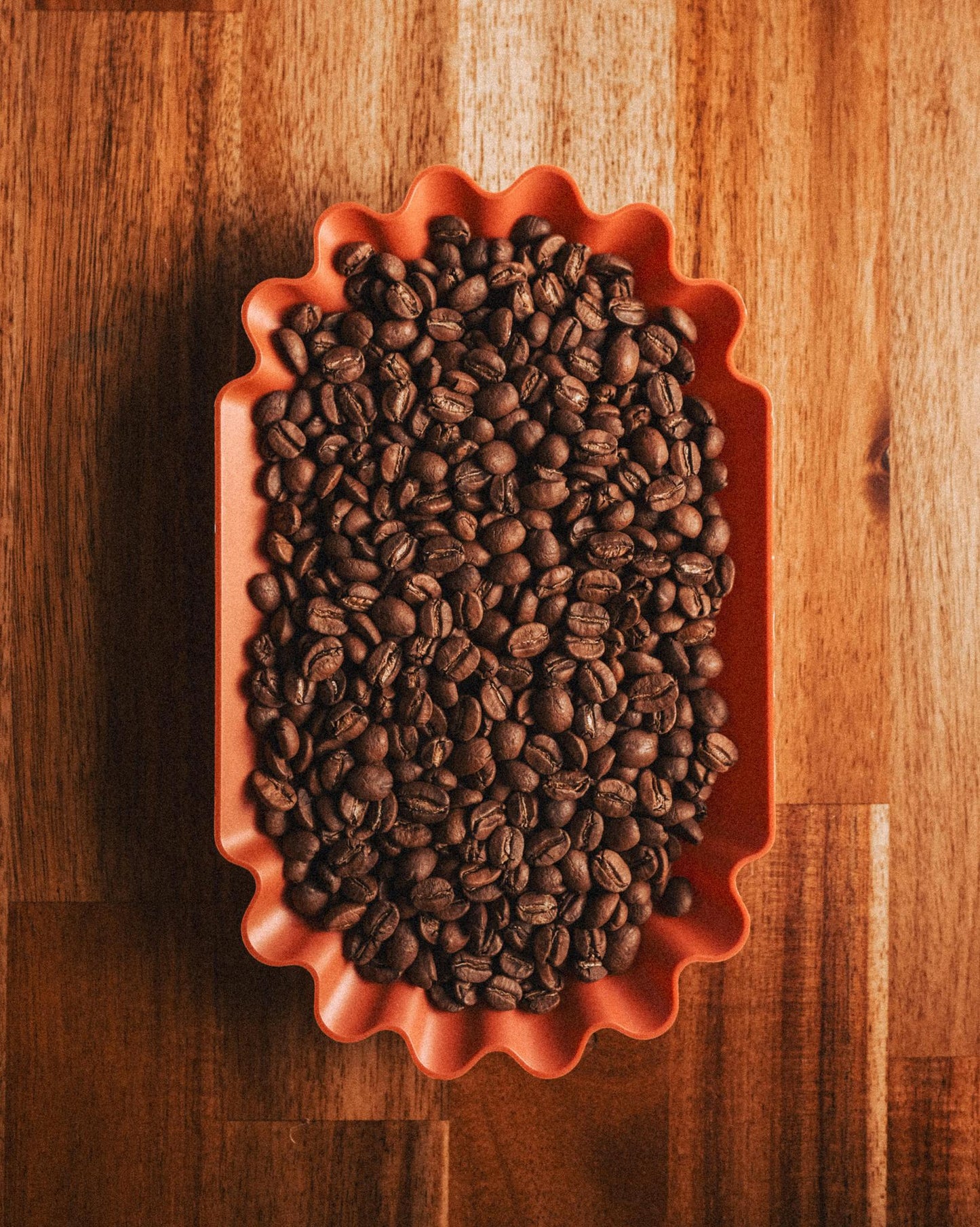 HSP Premium Coffee Jute | 10 OZ